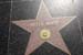 hollywood105