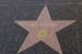 hollywood109