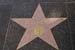 hollywood110