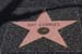 hollywood114