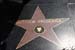 hollywood132
