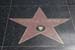 hollywood137