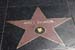 hollywood138