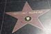 hollywood145