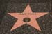 hollywood149