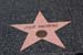 hollywood153