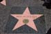 hollywood166