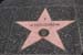 hollywood183