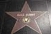 hollywood184
