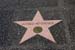 hollywood185