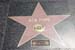 hollywood190