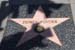 hollywood195