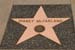 hollywood196