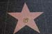 hollywood213