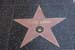 hollywood219