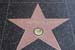 hollywood223