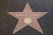 hollywood230