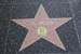 hollywood234
