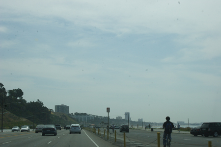 hollywood341