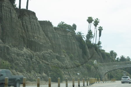 hollywood345