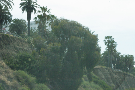 hollywood346