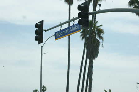 hollywood348
