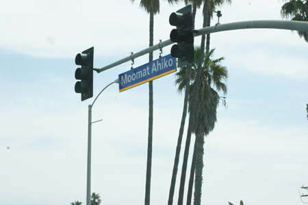 hollywood349