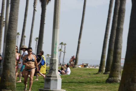 hollywood467