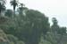 hollywood346