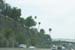 hollywood347