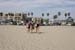 hollywood466